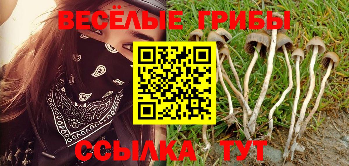Кропоткин  Псилоцибиновые грибы MAGIC MUSHROOMS  Вход с VPN 